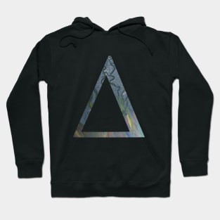 Delta Hoodie